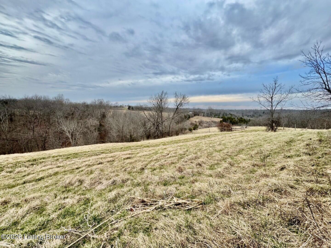 Listing Image 37