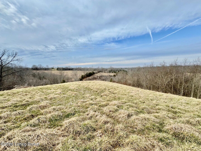 Listing Image 38