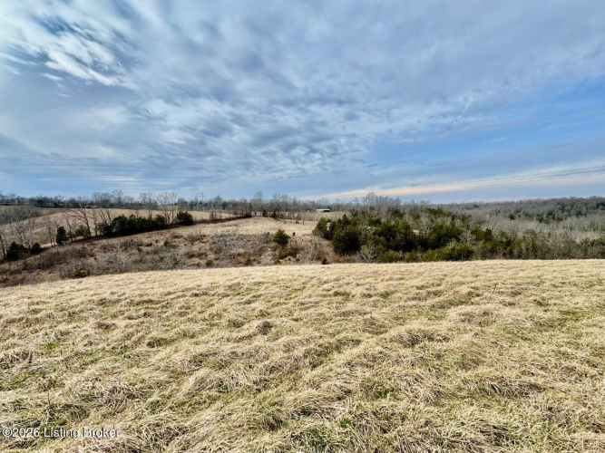 Listing Image 40