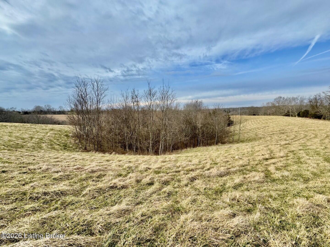 Listing Image 41
