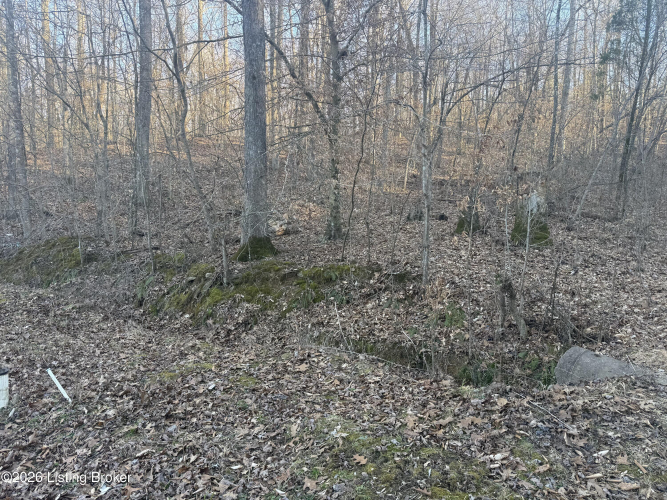 Listing Image 17