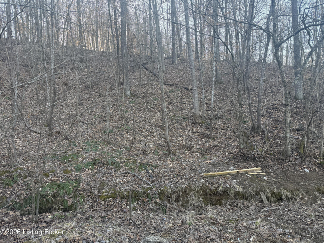Listing Image 18