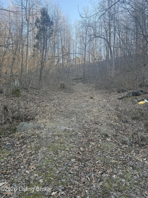 Listing Image 19