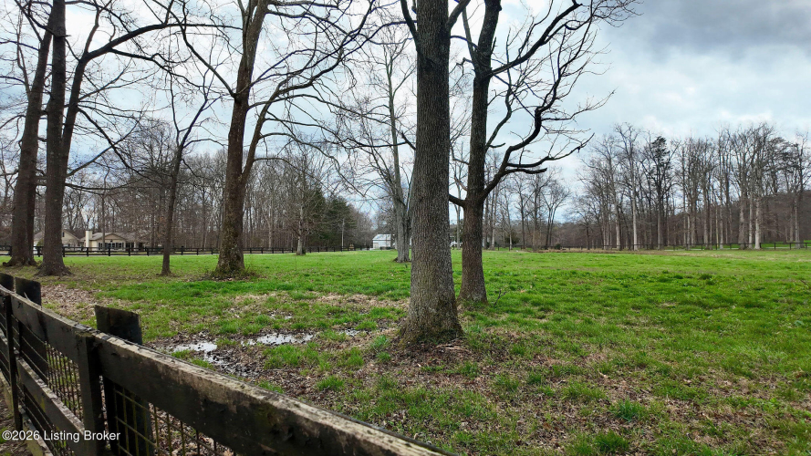 Listing Image 64