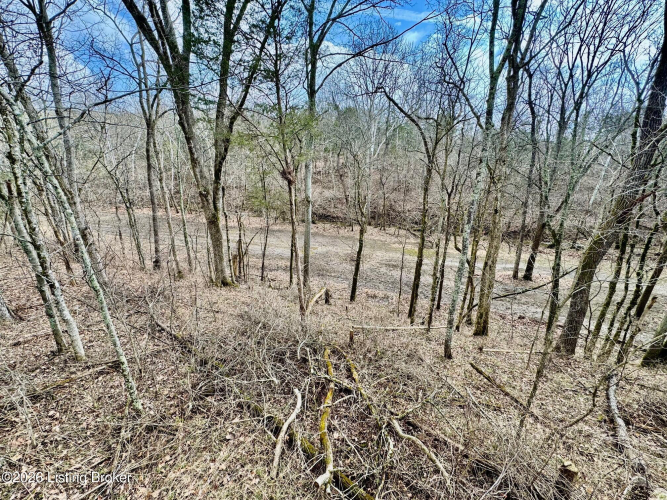 Listing Image 25