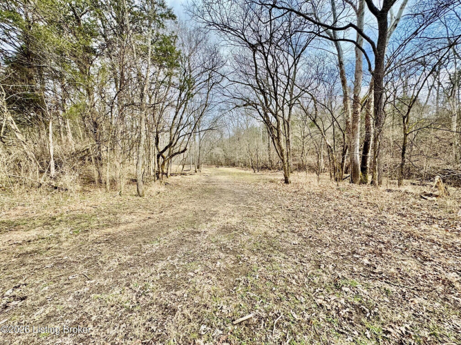 Listing Image 26