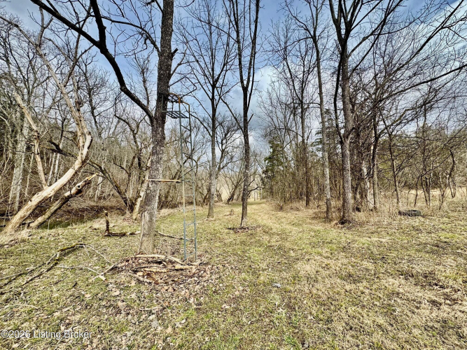Listing Image 28