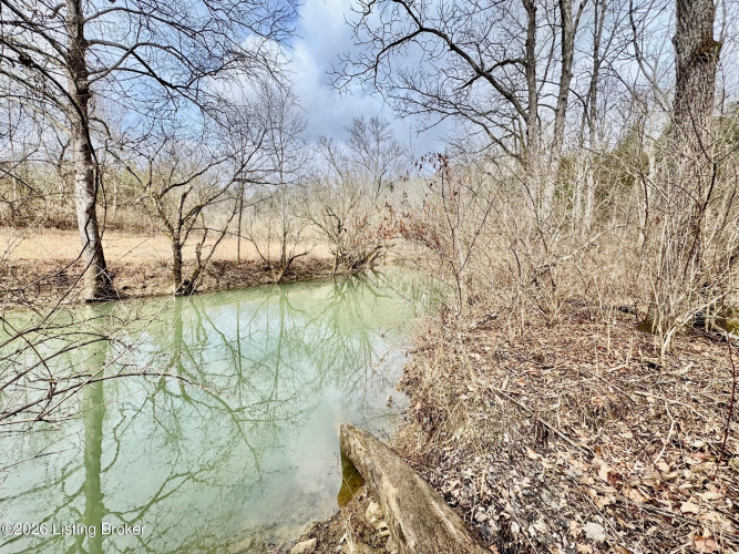 Listing Image 29