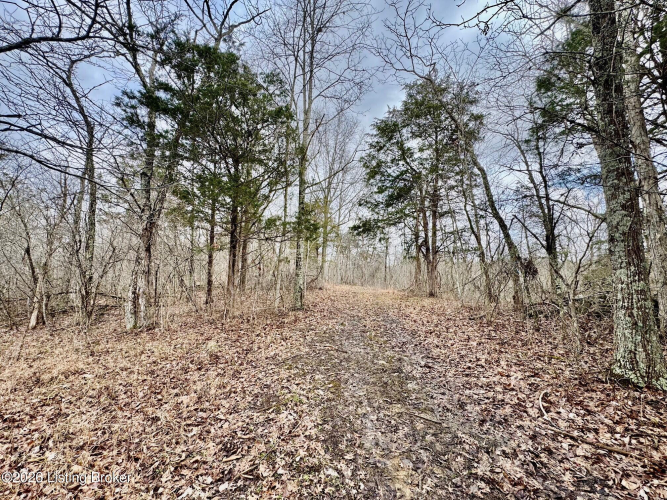 Listing Image 32