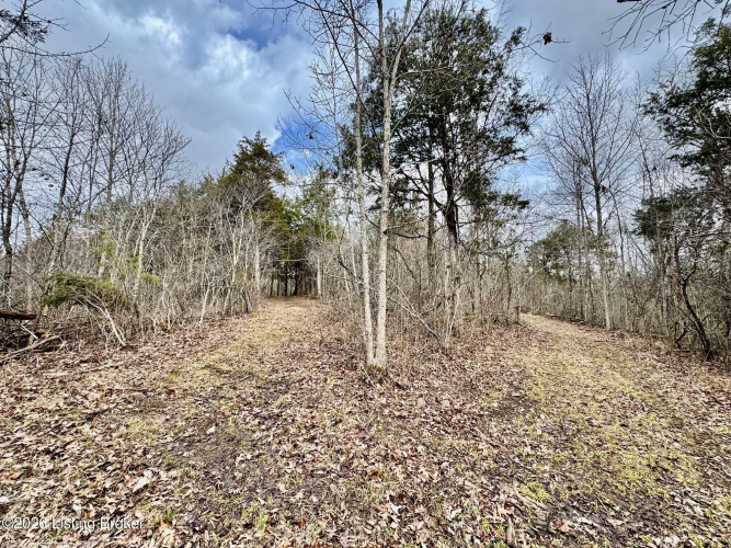 Listing Image 33
