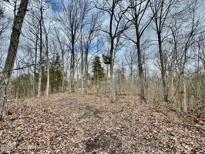 Listing Image 34