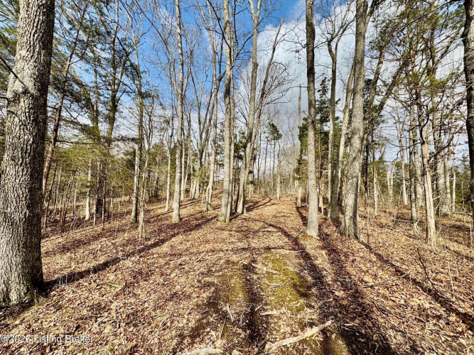Listing Image 36