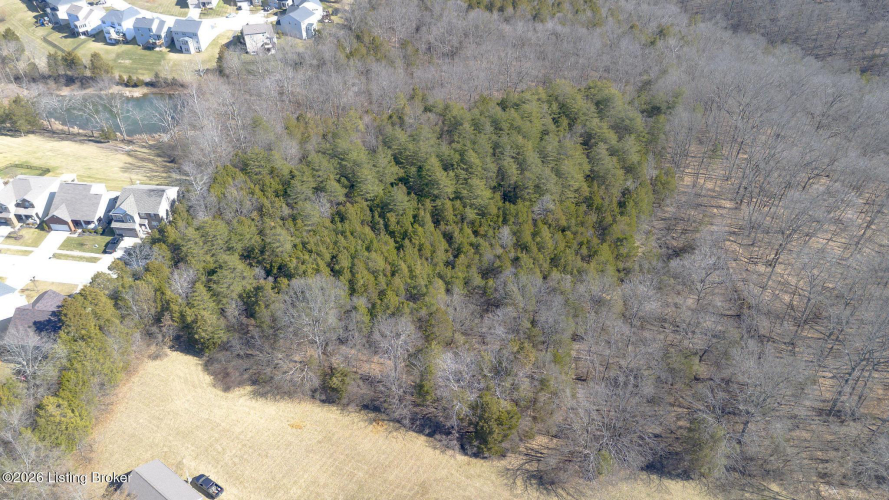 Listing Image 98
