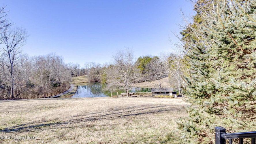 Listing Image 77