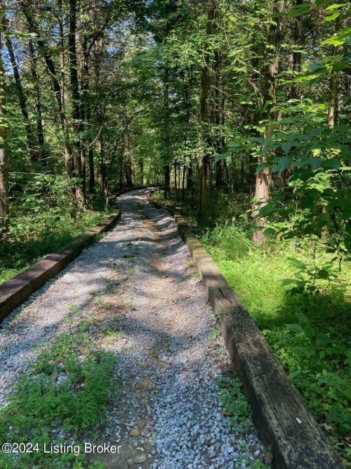 Listing Image 101