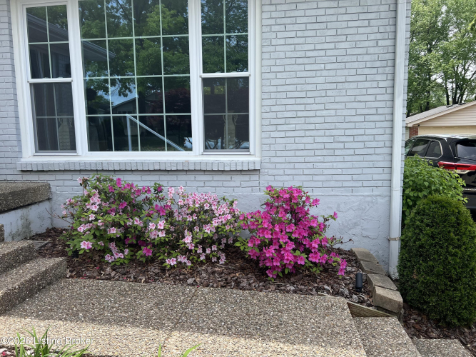 Listing Image 53