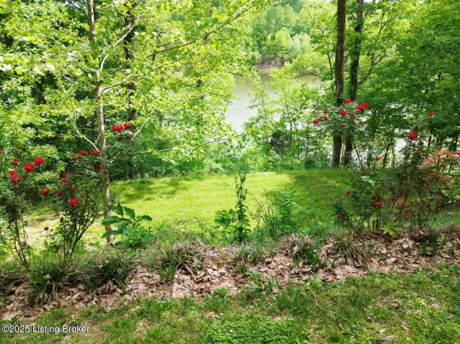 Listing Image 92