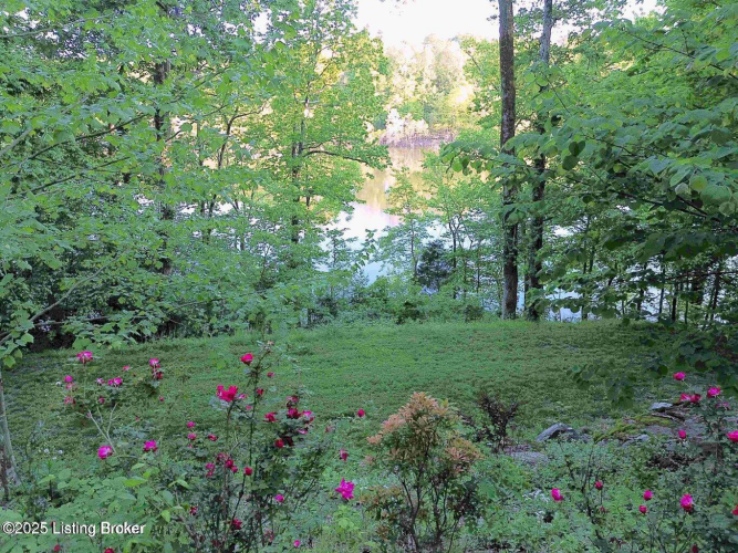 Listing Image 93