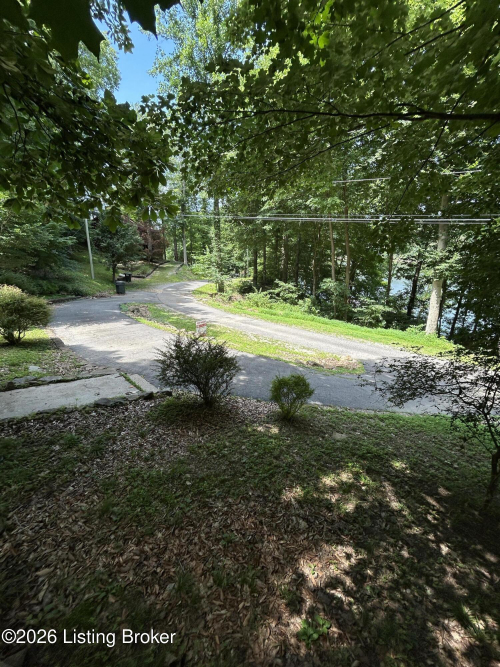 Listing Image 54