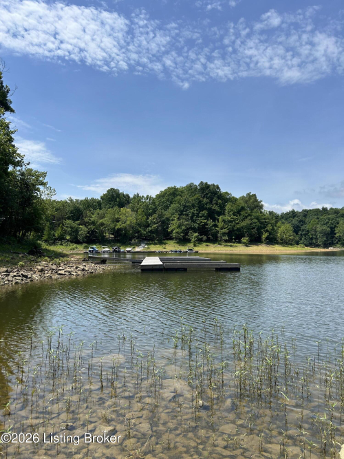 Listing Image 62