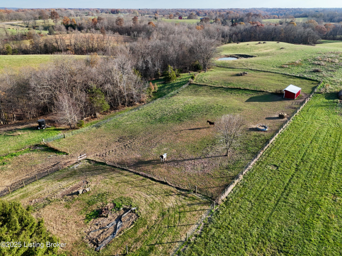 Listing Image 74