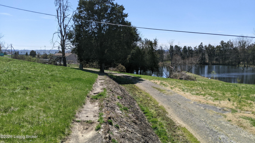 Listing Image 23