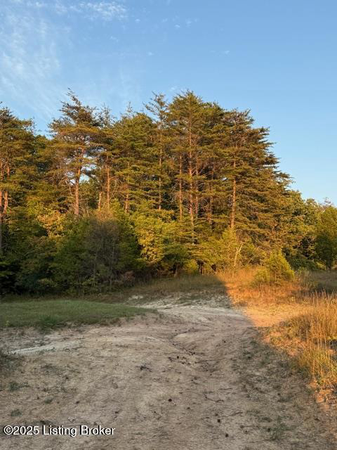 Listing Image 13