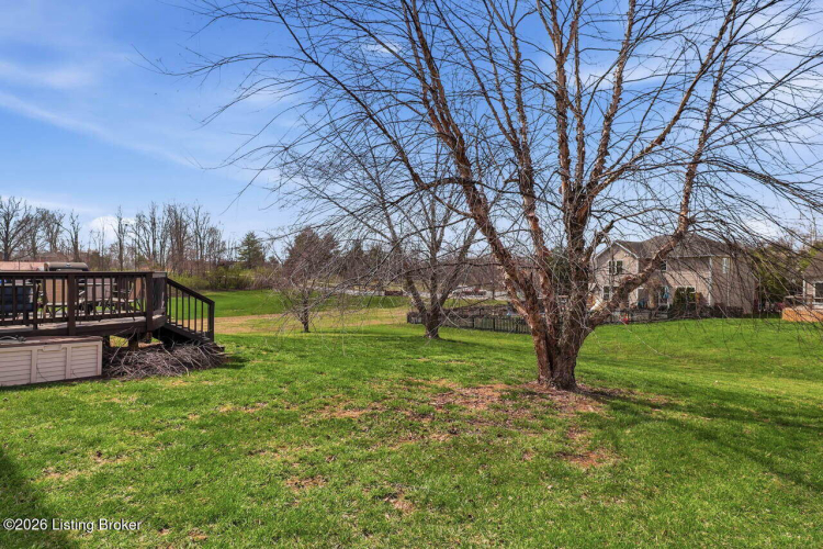 Listing Image 51