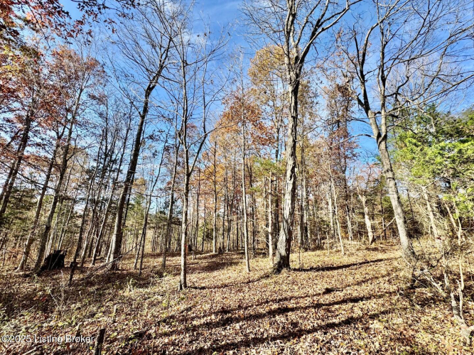 Listing Image 18