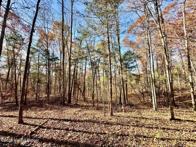 Listing Image 19