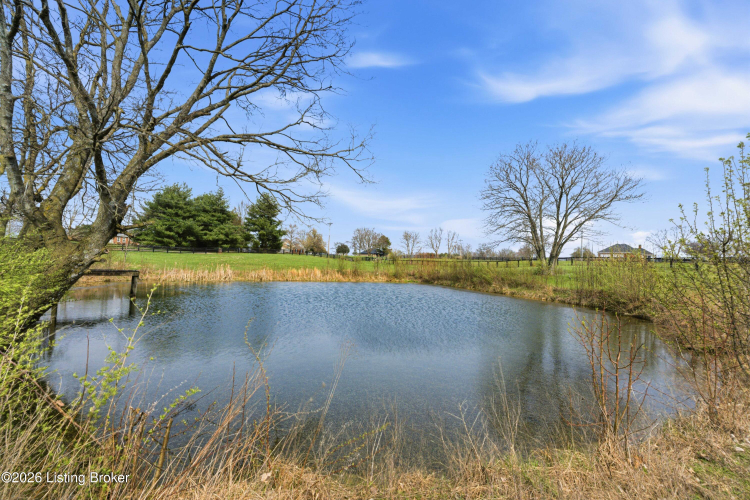 Listing Image 87
