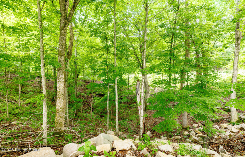 Listing Image 59