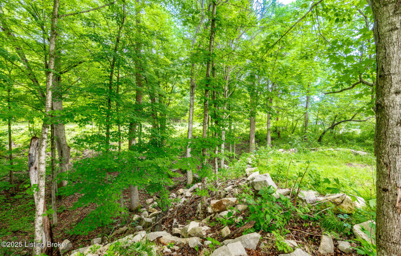 Listing Image 60