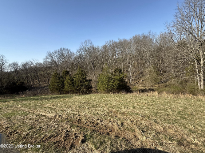 Listing Image 17