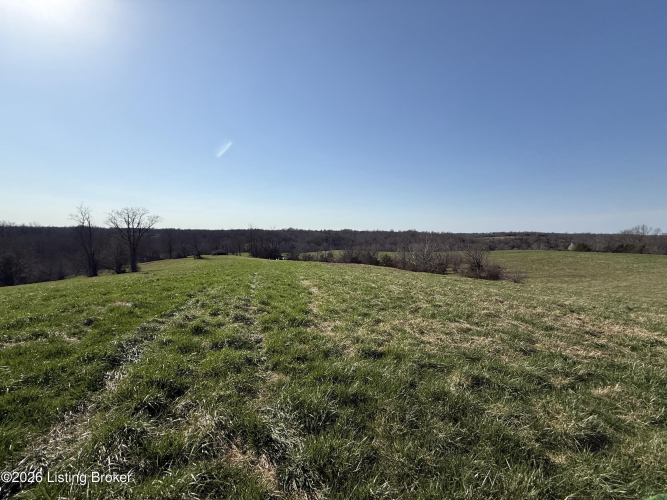 Listing Image 26