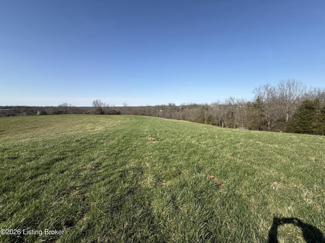 Listing Image 29