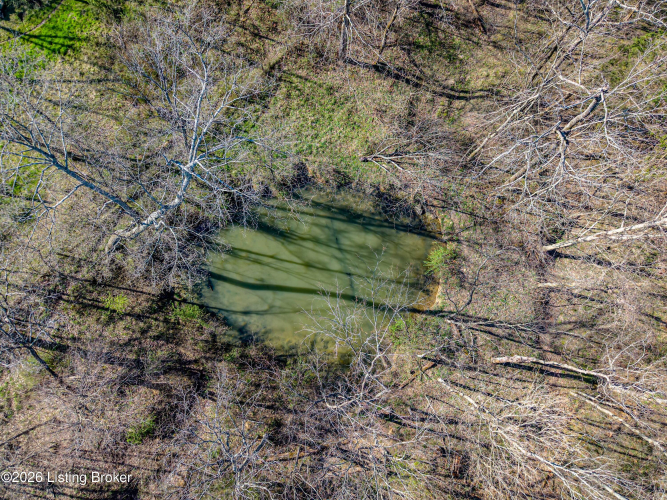 Listing Image 90
