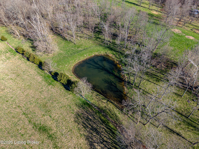 Listing Image 96