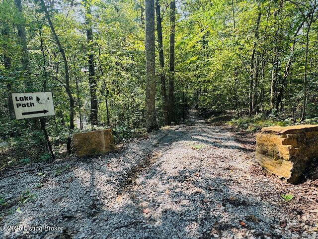 Listing Image 64