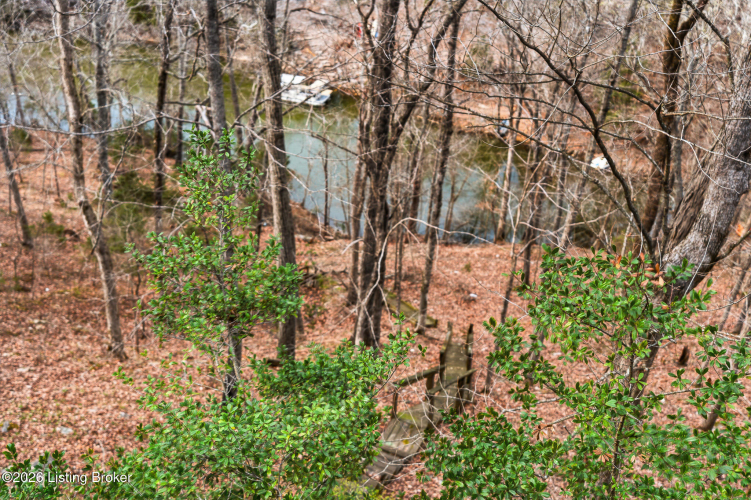 Listing Image 46
