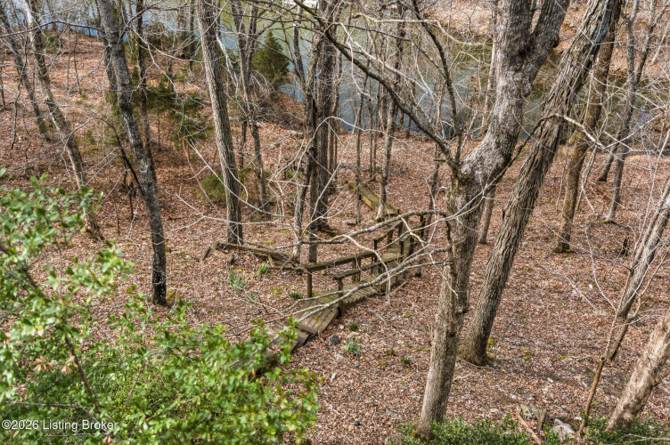 Listing Image 49