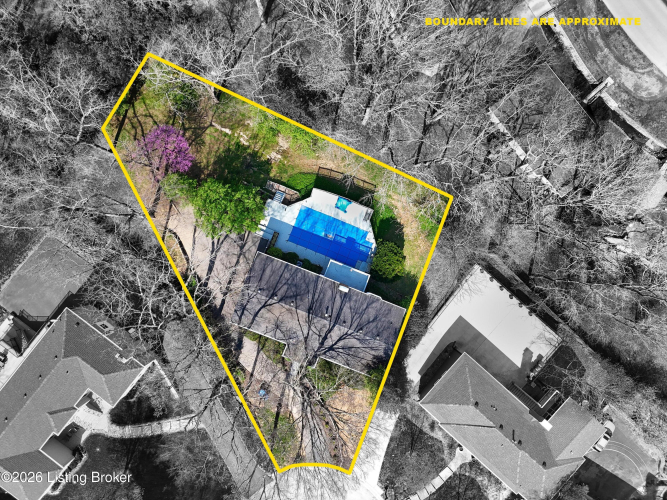 Listing Image 4
