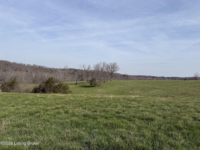 Listing Image 17