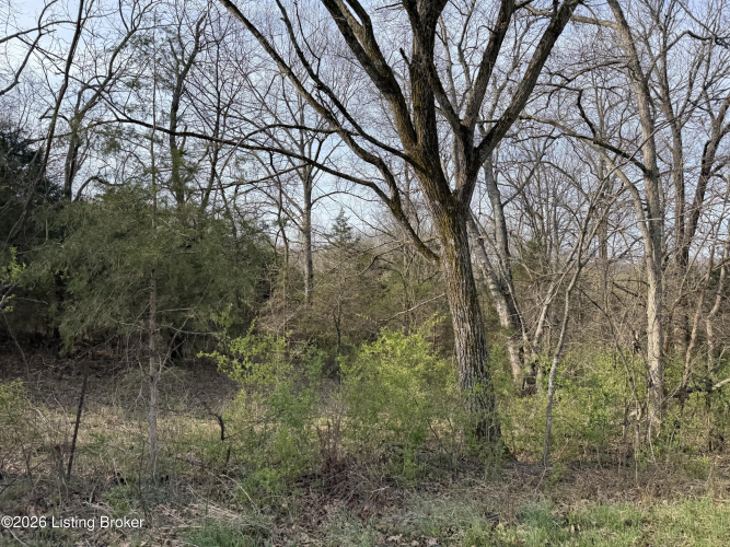 Listing Image 18