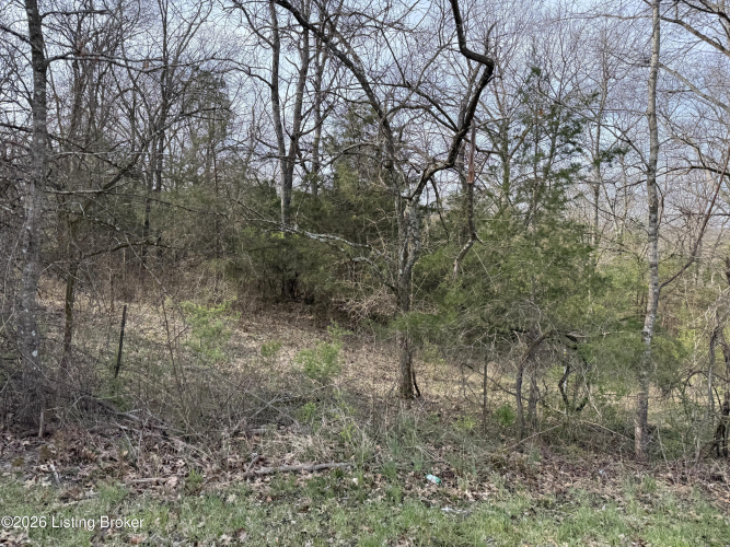 Listing Image 19