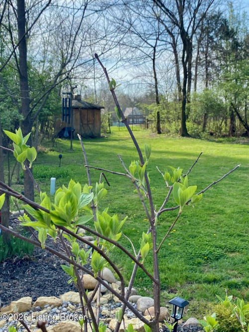 Listing Image 54