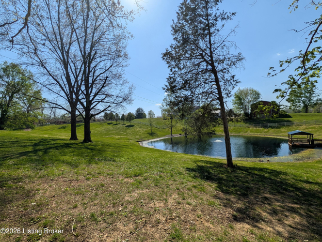 Listing Image 50