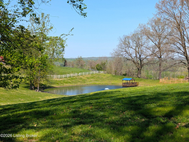 Listing Image 53