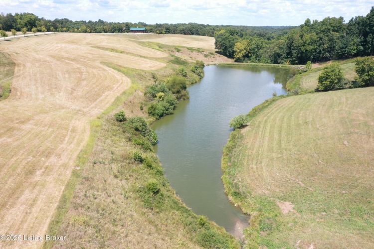 Listing Image 66