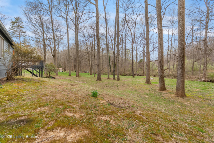 Listing Image 49